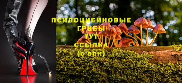 прущие крисы Алзамай