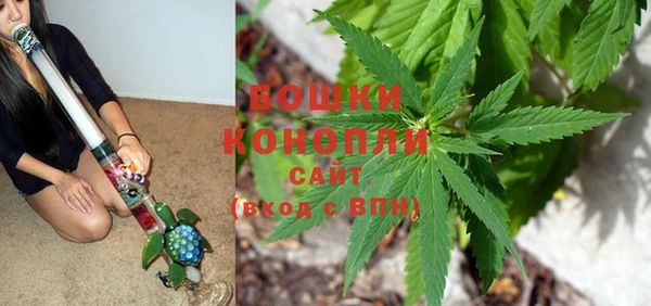 PSILOCYBIN Мегион