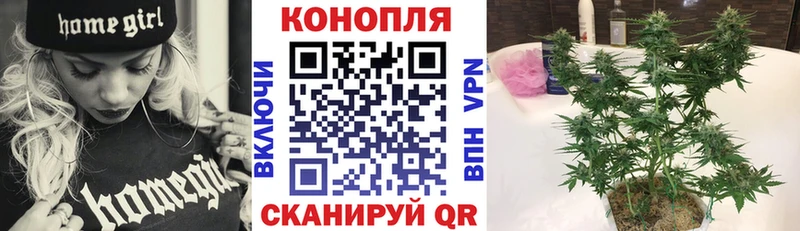 Бошки Шишки семена Невинномысск